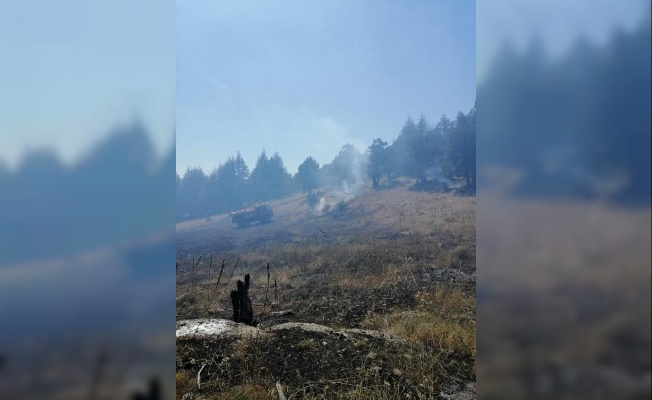 Adana'da anız yangını ormana sıçradı/ Ek Fotoğraflar
