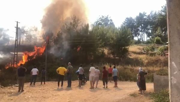 Anamur'da yerleşim yeri yakınında orman yangını