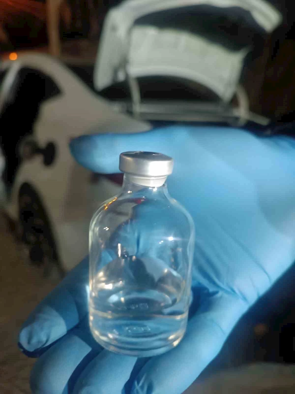 Hayvan hırsızları hayvanlarla birlikte yakalandı
