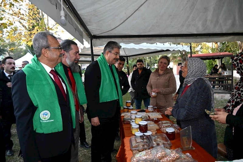 Osmaniye’de "Yeşil Altın Zeytin Festivali" düzenlendi
