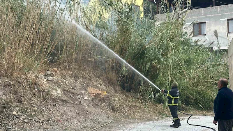 Samandağ’da kamışlık alanda çıkan yangın söndürüldü
