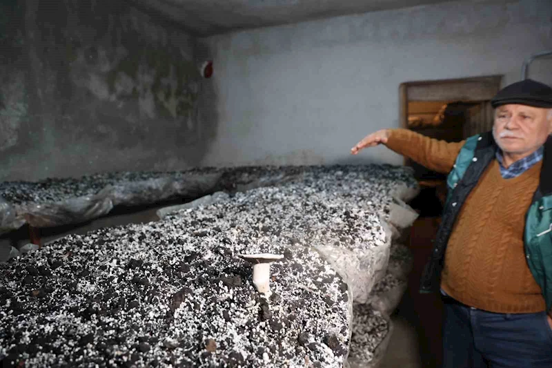 Emekli olunca hobisi ekmek teknesi oldu
