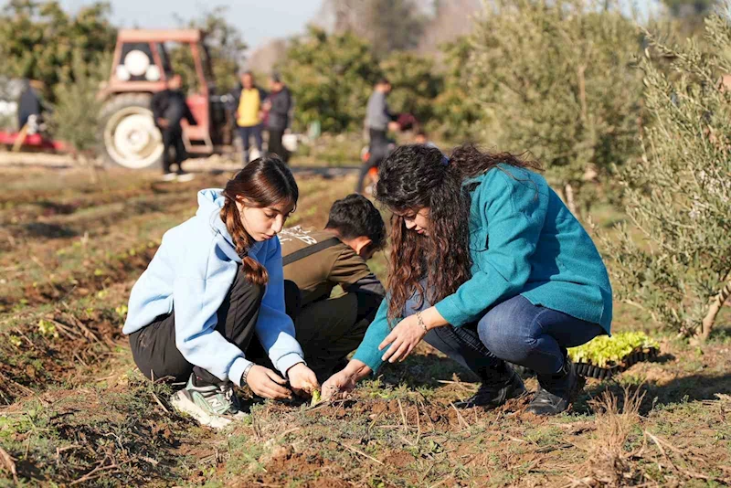 Tarsus’ta 5 bin marul fidesi toprakla buluşturuldu
