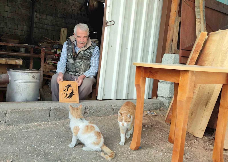 Depremden sonra sokakta kalan kedilere sahip çıktı
