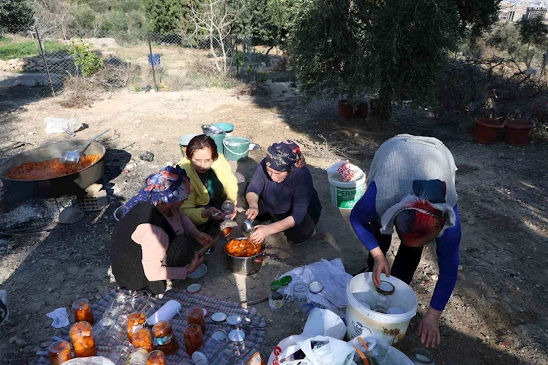 Bal kabakları imece usulü tatlıya dönüştü
