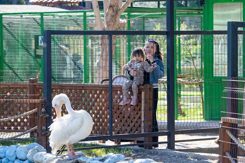 Tarsus Doğa Parkı, yarı yıl tatilinde çocukları ağırlıyor
