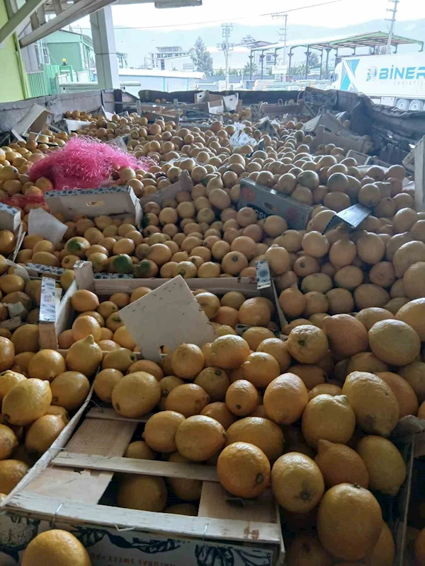 Pestisit kimyasal maddesi tespit edilen 55 ton limon imha edildi
