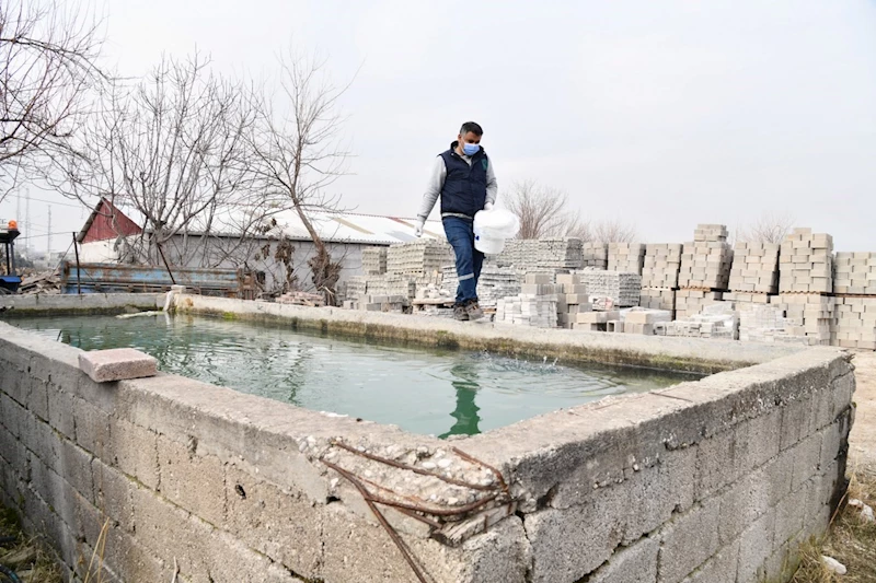 Osmaniye Belediyesi, vektörel mücadeleyi sürdürüyor
