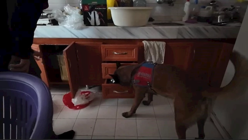 Osmaniye’de uyuşturucu operasyonu: 2 kişi tutuklandı
