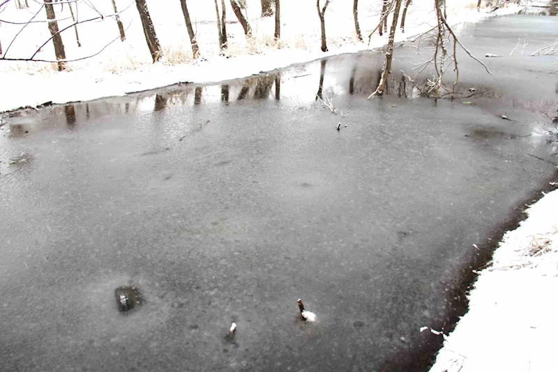 Kahramanmaraş’ta Mağaragözü Çayı buz tuttu

