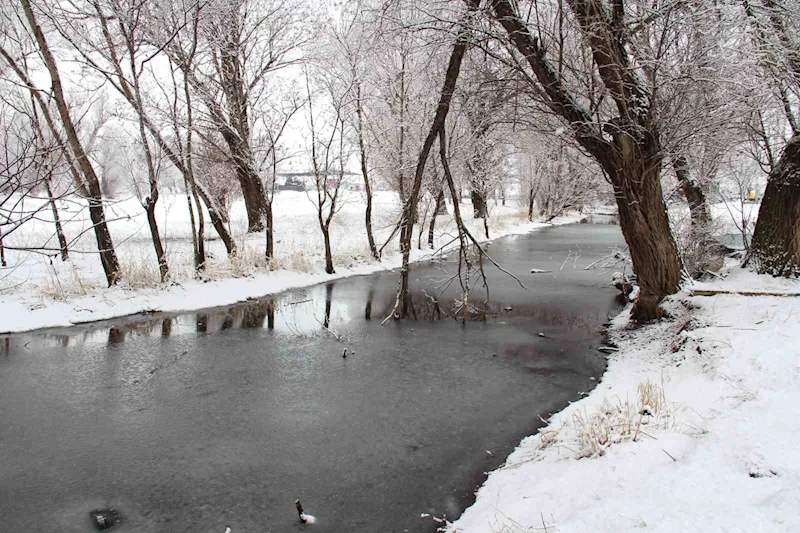 Kahramanmaraş’ta Mağaragözü Çayı buz tuttu
