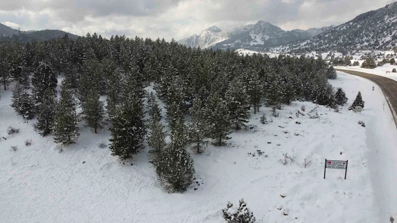 Adana’da kar yolları kapattı, kartpostallık görüntü oluşturdu
