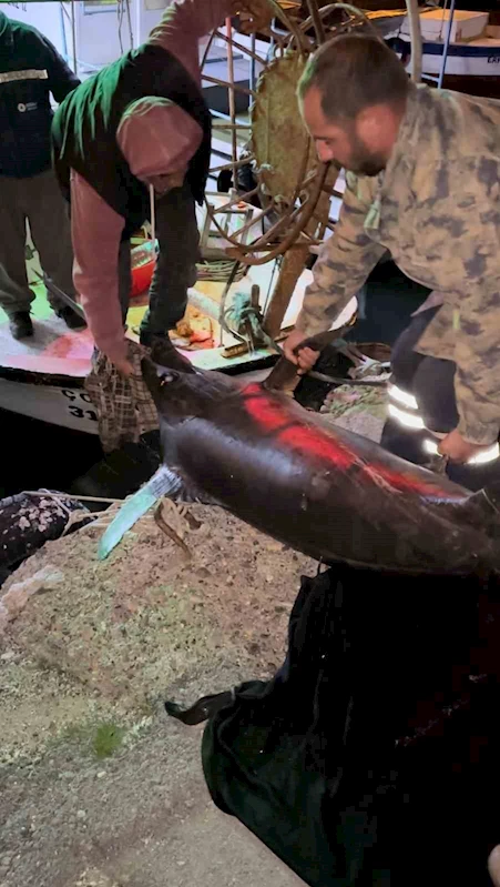 Yakaladığı 100 kiloluk kılıç balığını 40 bin TL’ye sattı
