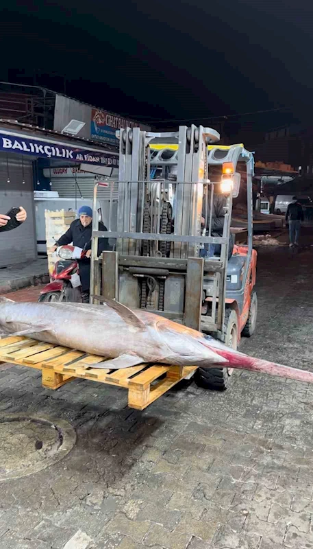 Yakaladığı 100 kiloluk kılıç balığını 40 bin TL’ye sattı
