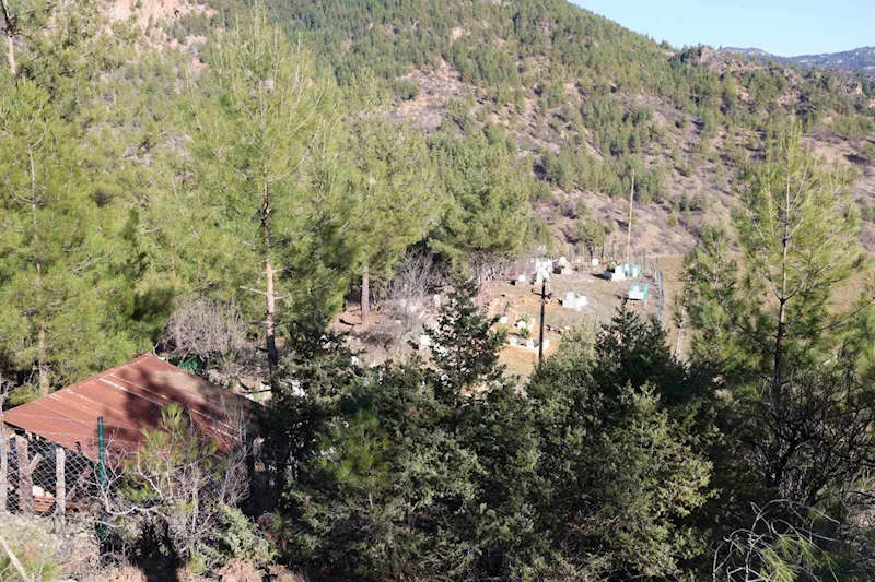 Kuzey Adana’da 4 mevsim turizm için yol çalışması başladı
