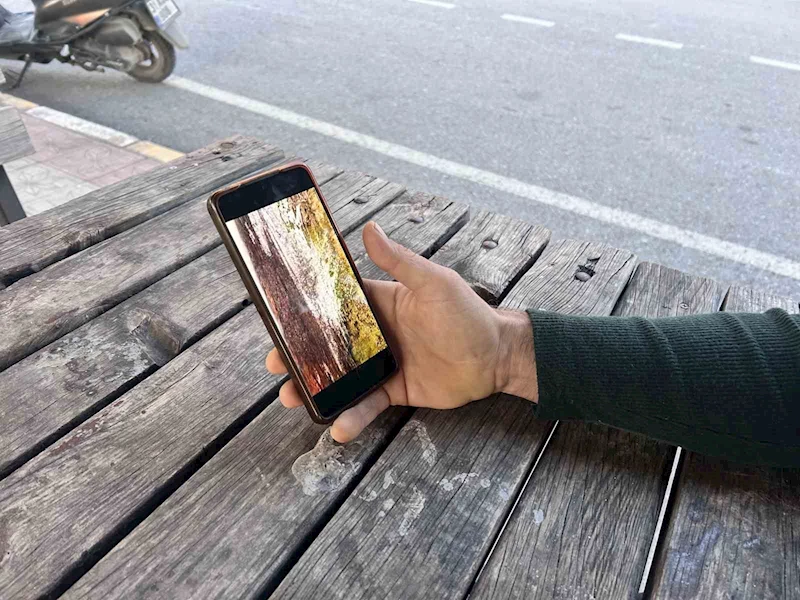 Değirmende Şelalesi soğuk havanın etkisiyle kısmen dondu
