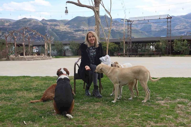 Sokak sokak afiş asarak aradığı İngiliz Cocker cinsi köpeğini getirene 40 bin TL ödül verecek
