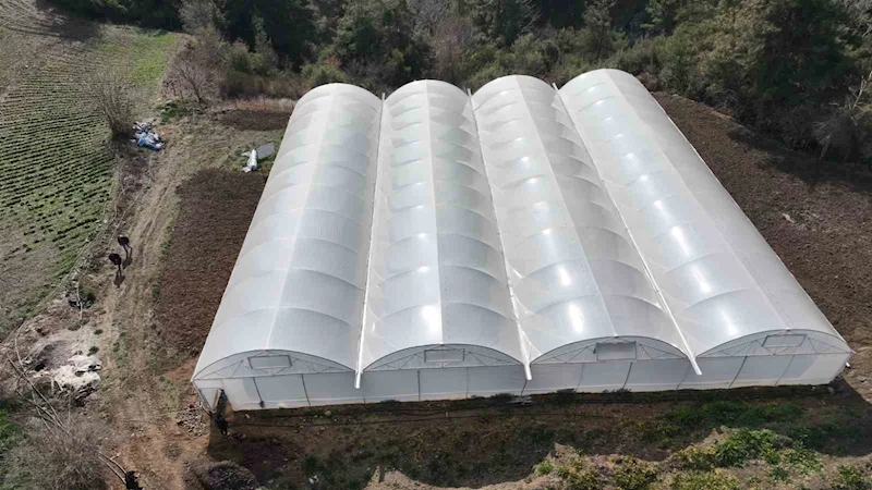 Devlet desteğiyle kurdukları serada 2 kardeş üretim yapıyor
