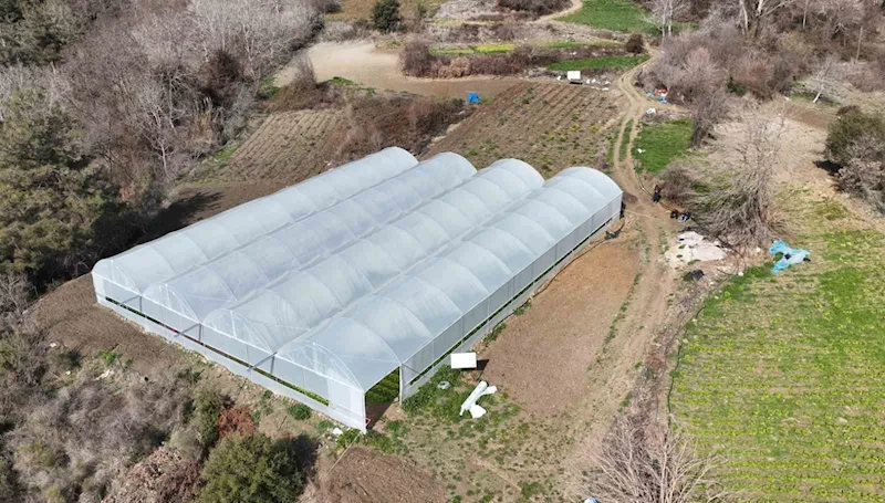 Devlet desteğiyle kurdukları serada 2 kardeş üretim yapıyor
