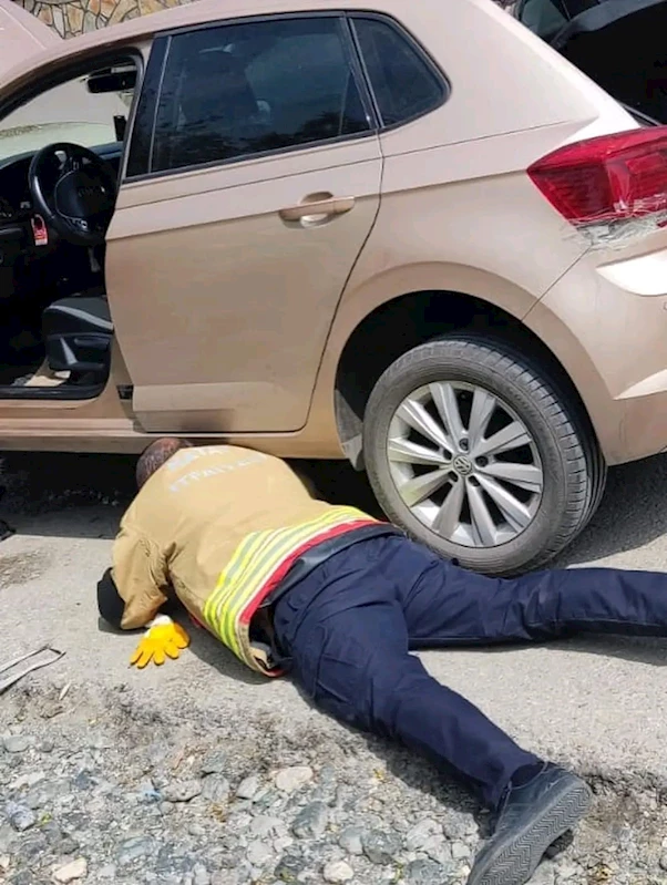 Aracın kaputuna giren yavru kediyi itfaiye kurtardı
