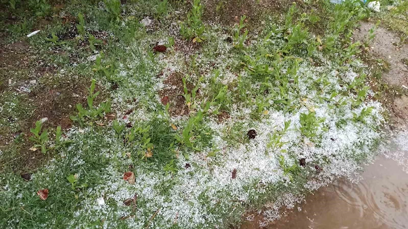 Afşin’de dolu tarım arazilerine zarar verdi
