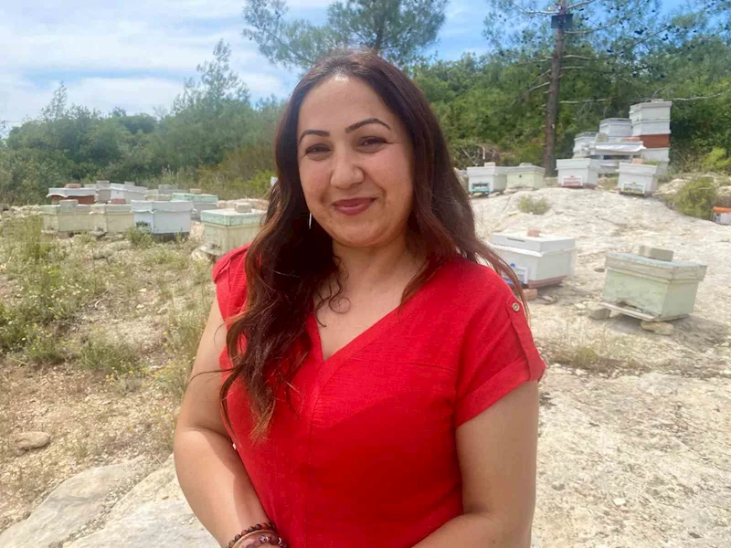 Arılara taşlı saldırı: Güvenlik kamerası o anları kaydetti
