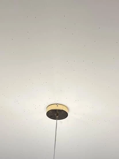 Büyükşehir belediyesi yetersiz kaldı vatandaş kendisi ilaçladı
