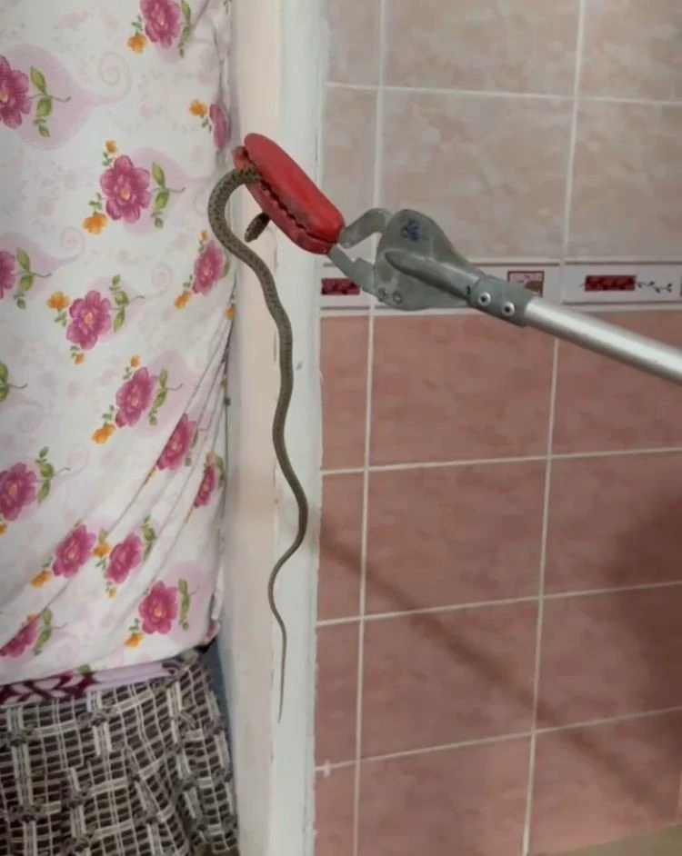 Mersin’de 2 gün önce eve giren yılanı itfaiye erleri bulup çıkarttı
