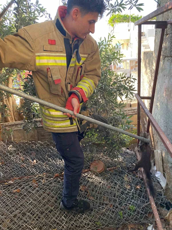 Ava giden sansar tellere takıldı
