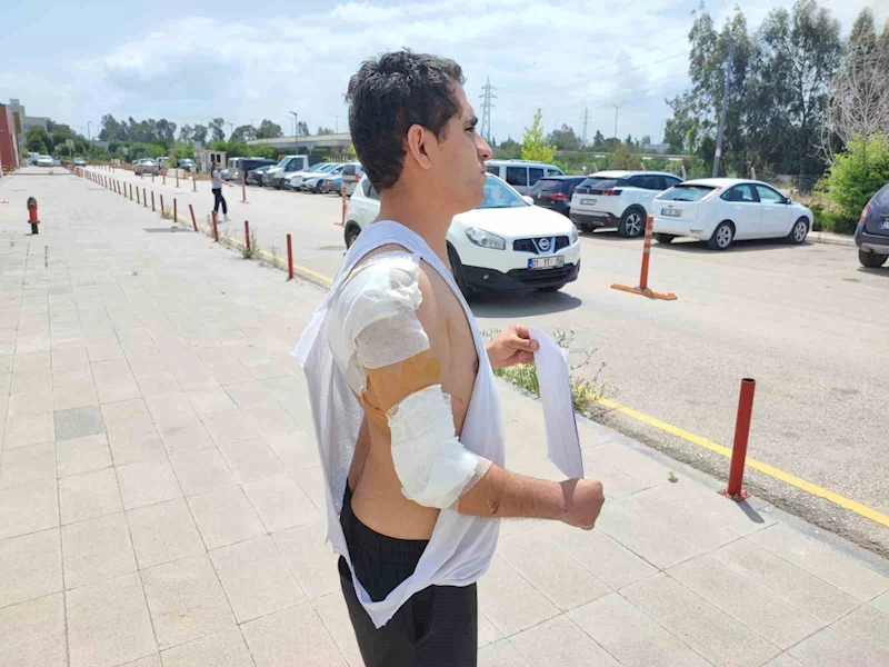 Hastaneye giderken kurt köpeğinin saldırısıyla yaralandı
