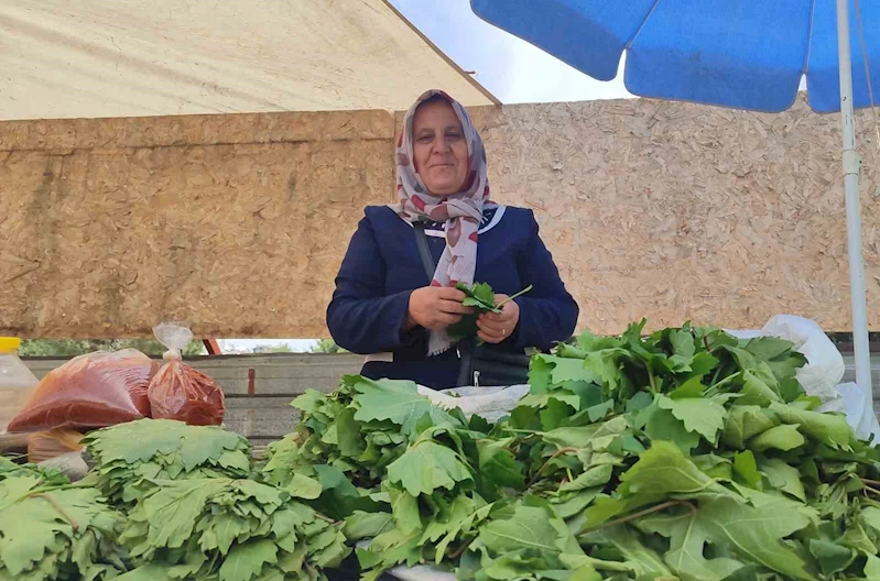 5 çocuk annesi, asma yaprağı satarak aile ekonomisine destek oluyor
