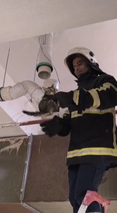 Boru içinde mahsur kalan yavru kedinin yardımına itfaiye ekipleri yetişti
