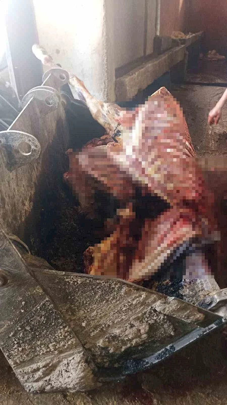 Adana’da 2,5 ton at eti ele geçirildi
