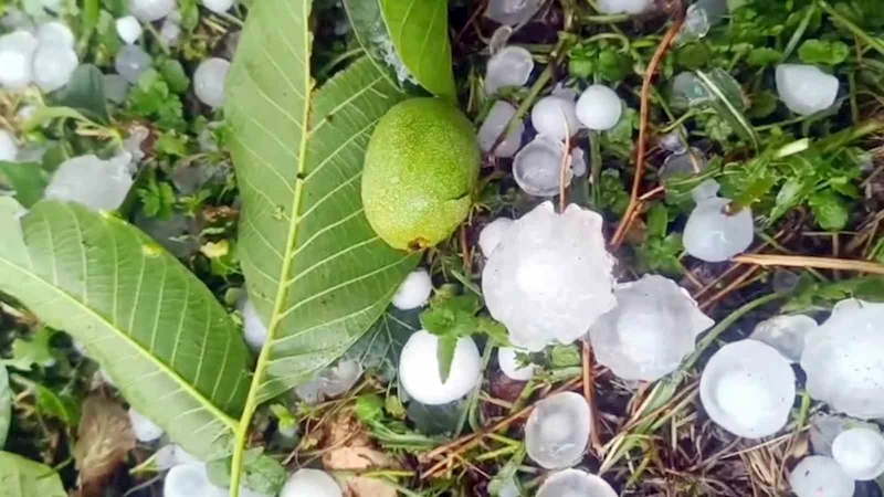 Mersin’de şiddetli dolu yağışı etkili oldu
