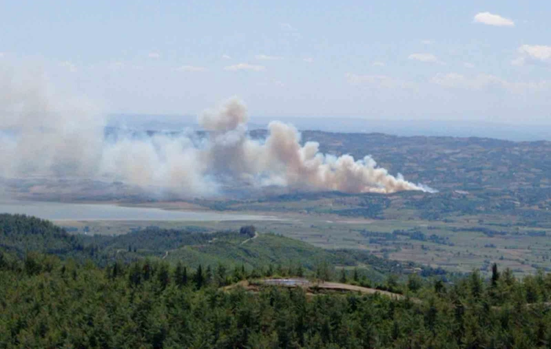 Kahramanmaraş’ta orman yangını
