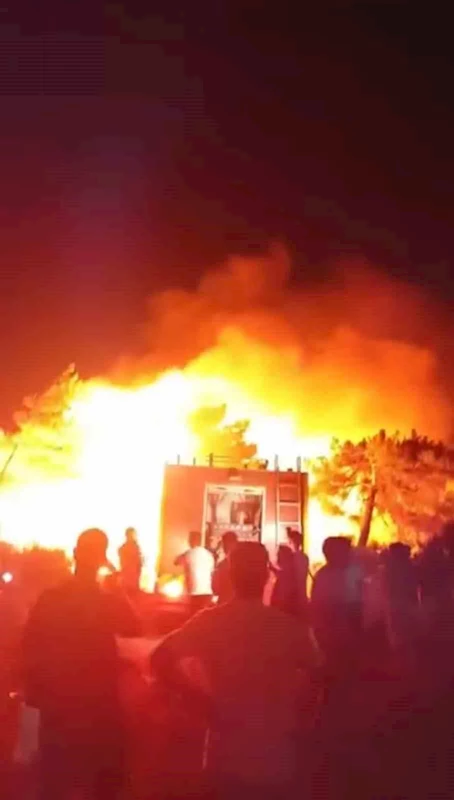 Hatay’da orman yangını
