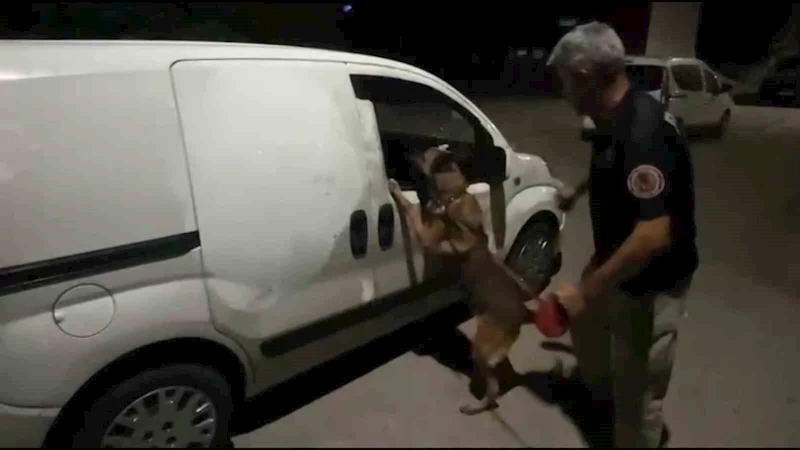 Araçta 5 kilo esrar ile yakalandılar: ’’Haberimiz yok’’ savunması yaptılar
