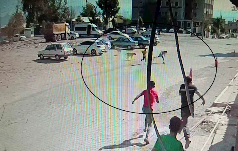 Köpeklerden kaçarken yere yığılan çocukların yardımına vatandaşlar yetişti
