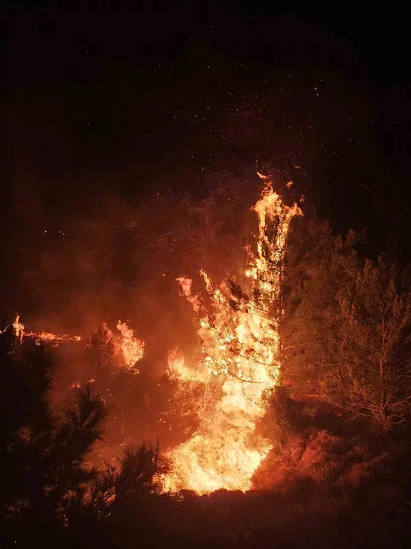 Düğün sırasında çalılık alanda yangın çıktı: Ormana sıçramadan söndürüldü
