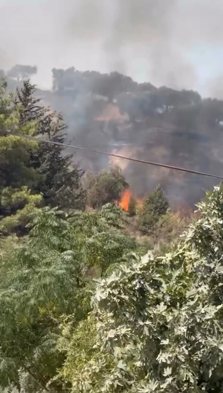 Hatay’da çıkan orman yangını büyümeden söndürüldü
