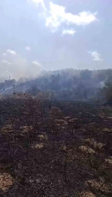 Hatay’da çıkan orman yangını büyümeden söndürüldü
