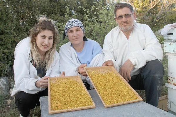 100 ton üretimin olduğu Mersin